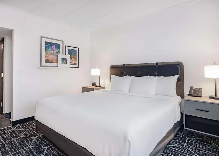 La Quinta By Wyndham Chicago O'Hare Airport Hotel Rosemont